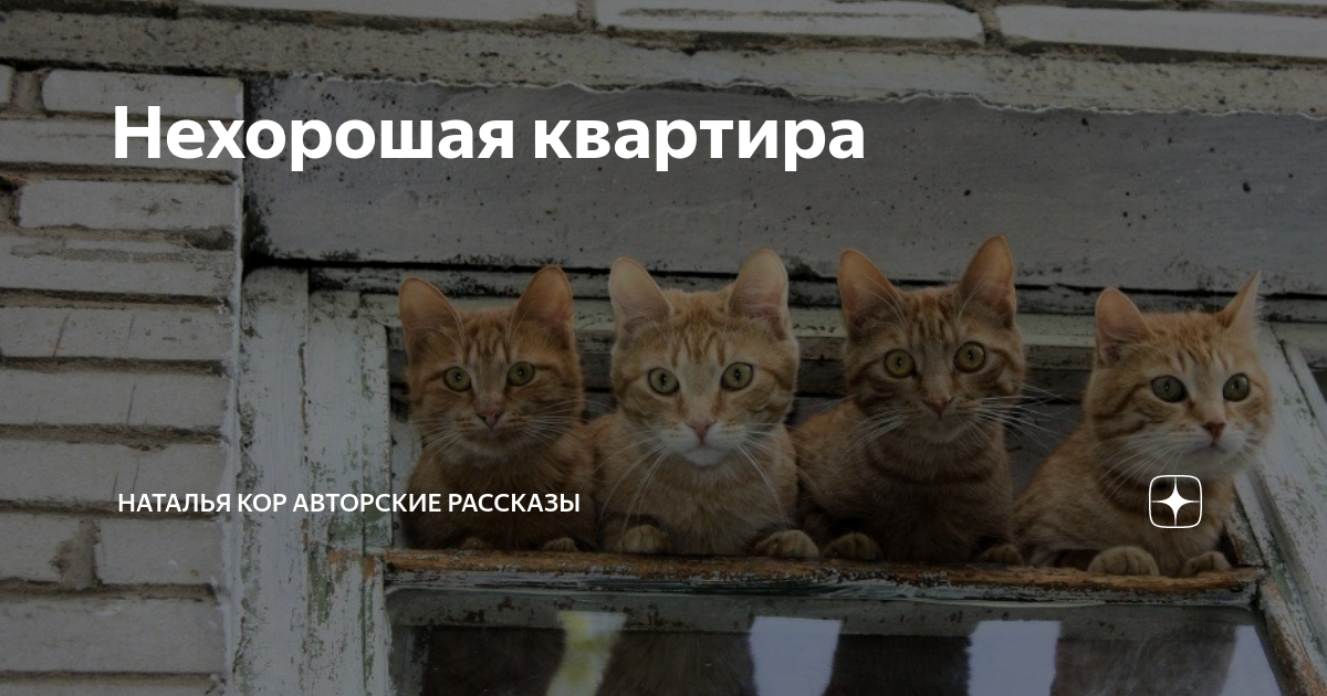 Нехорошая квартира | Наталья Кор авторские рассказы | Дзен