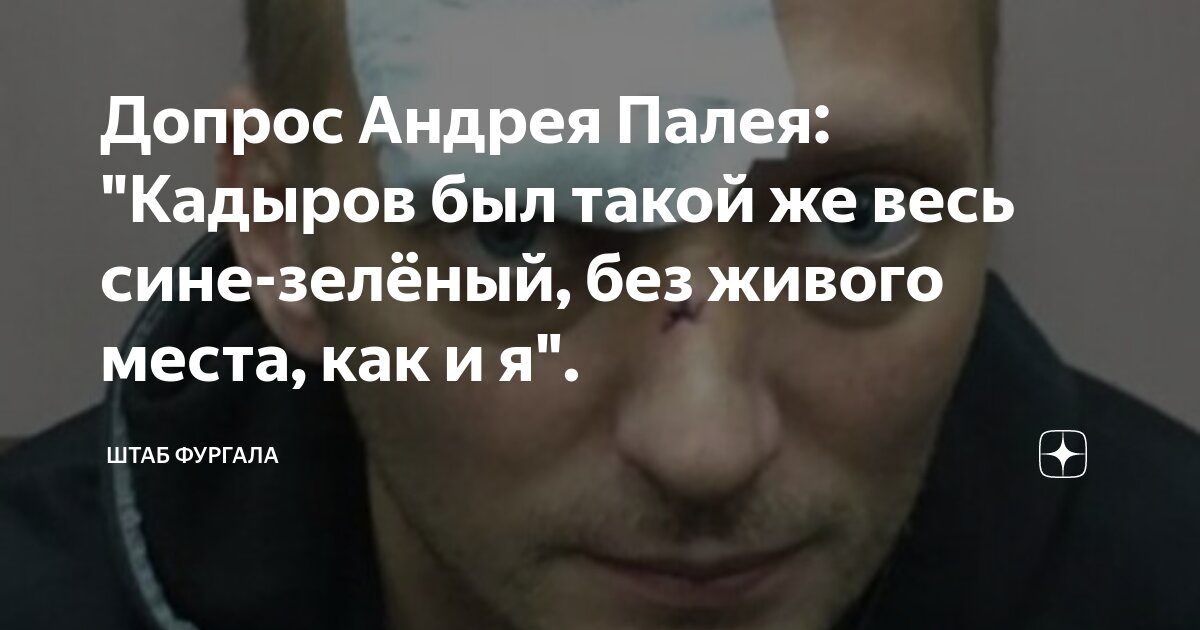 Допрос Андрея Палея: "Кадыров был такой же весь сине-зелёный, без ...