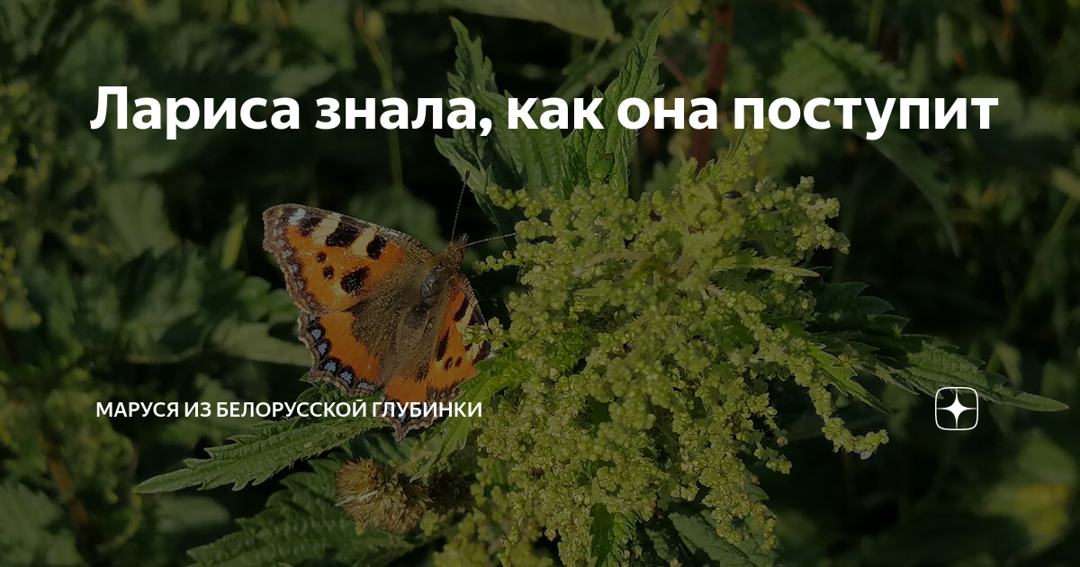 Лариса знала, как она поступит | МАРУСЯ из белорусской глубинки | Дзен
