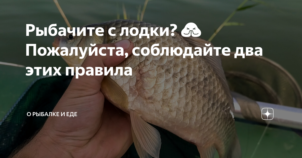 Рыбачите с лодки? 🙏 Пожалуйста, соблюдайте два этих правила | О РЫБАЛКЕ ...