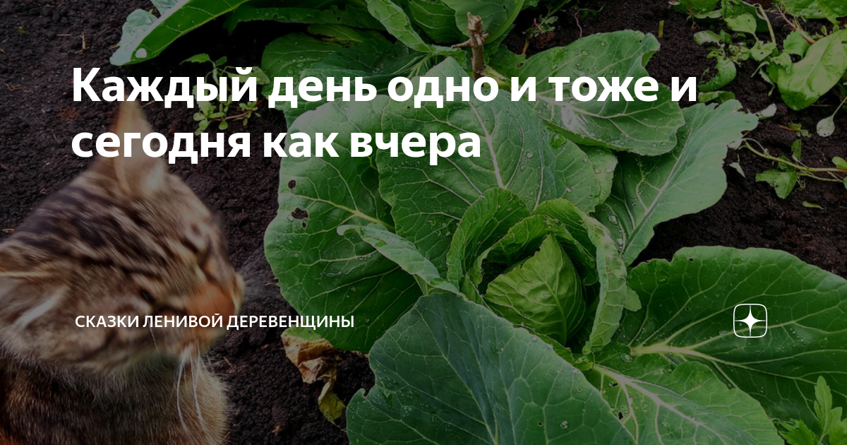 Каждый день одно и тоже и сегодня как вчера | Сказки ленивой ...