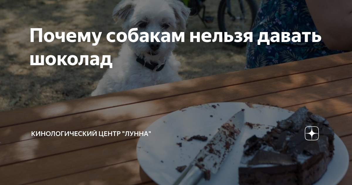 почему нельзя шоколад после чистки зубов