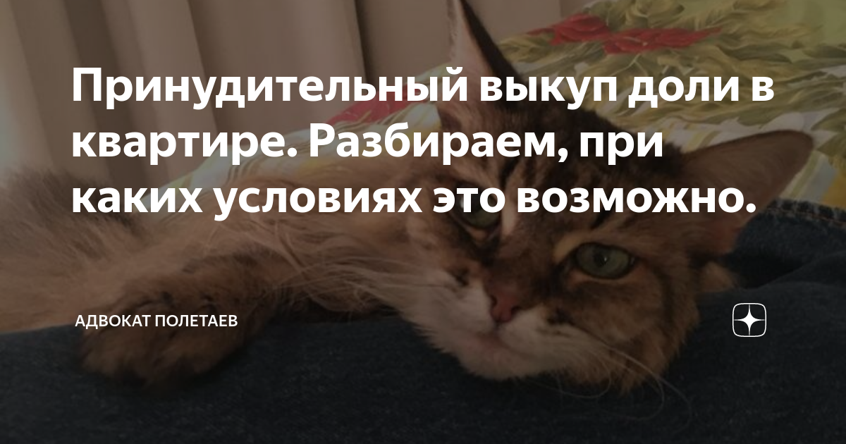 Принудительный выкуп доли в квартире. Разбираем, при каких условиях это ...
