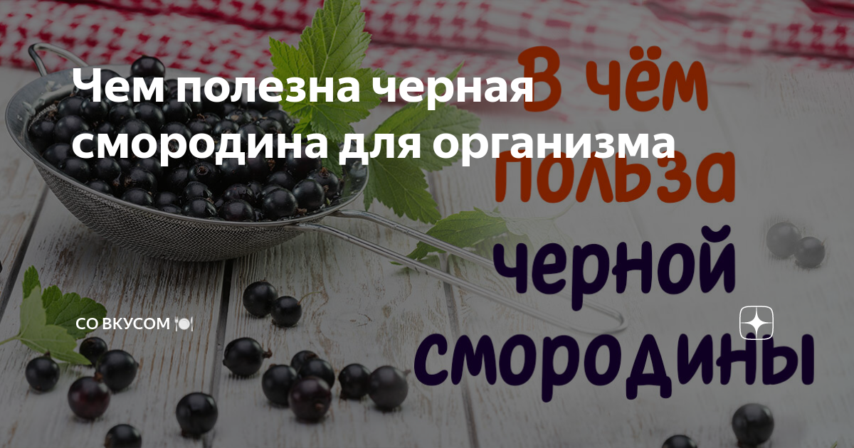 Чем полезна черная смородина для организма | СО ВКУСОМ 🍽 | Дзен