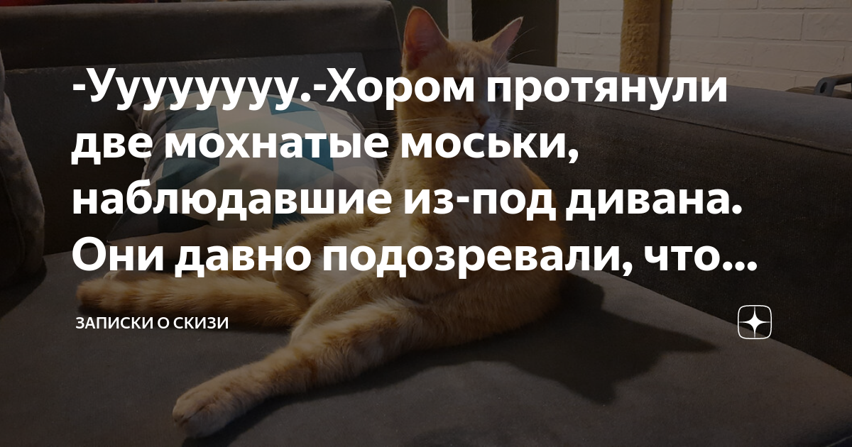 -Уууууууу.-Хором протянули две мохнатые моськи, наблюдавшие из-под ...