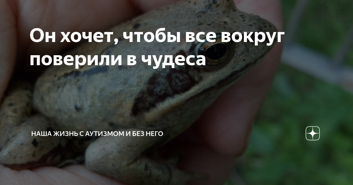 Он хочет, чтобы все вокруг поверили в чудеса | Наша жизнь с аутизмом и ...