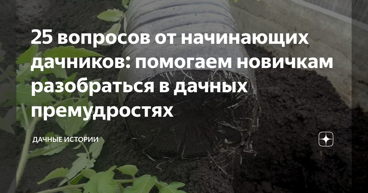 25 вопросов от начинающих дачников: помогаем новичкам разобраться в ...