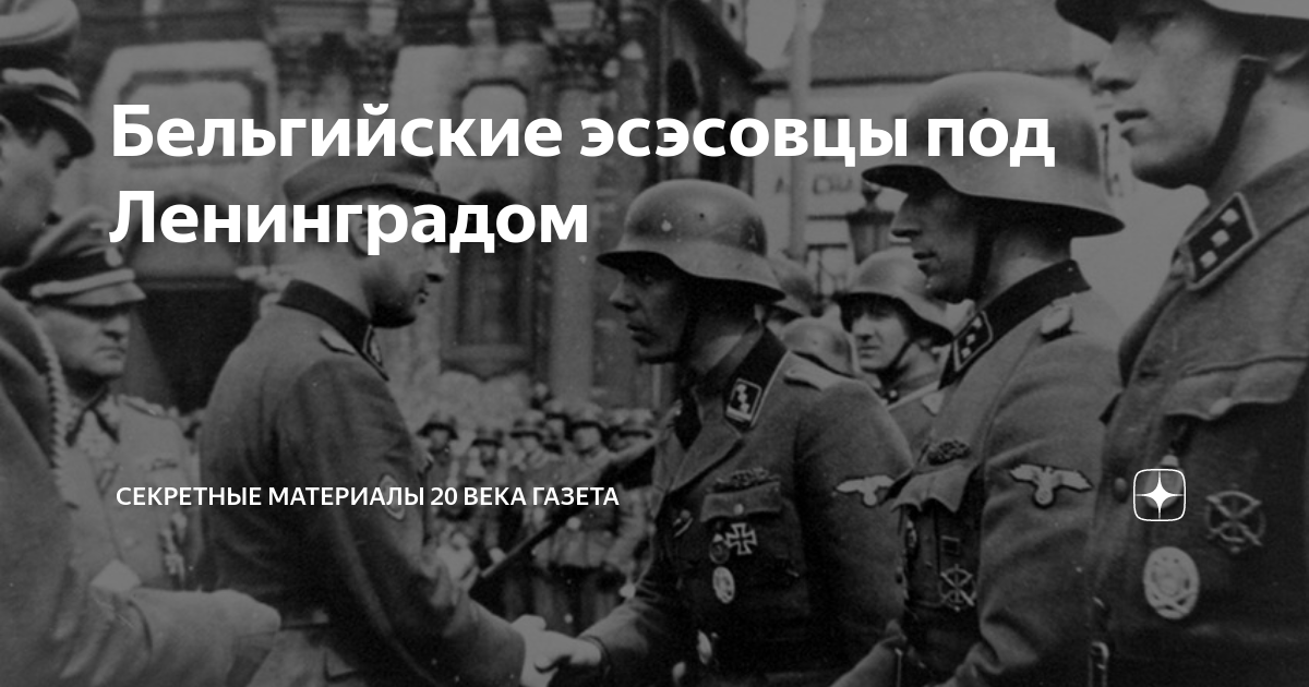 Бельгийские эсэсовцы под Ленинградом | Секретные Материалы 20 века | Дзен