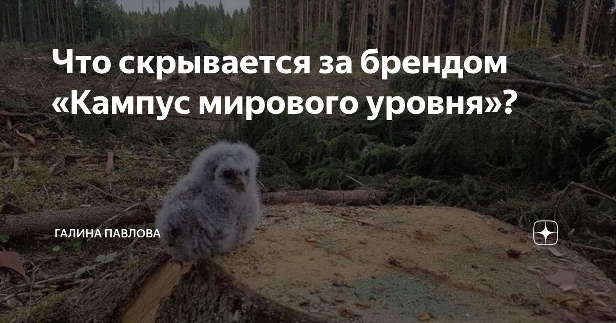 Не удивительно ли то что происходит. Не удивительно ли то что происходит