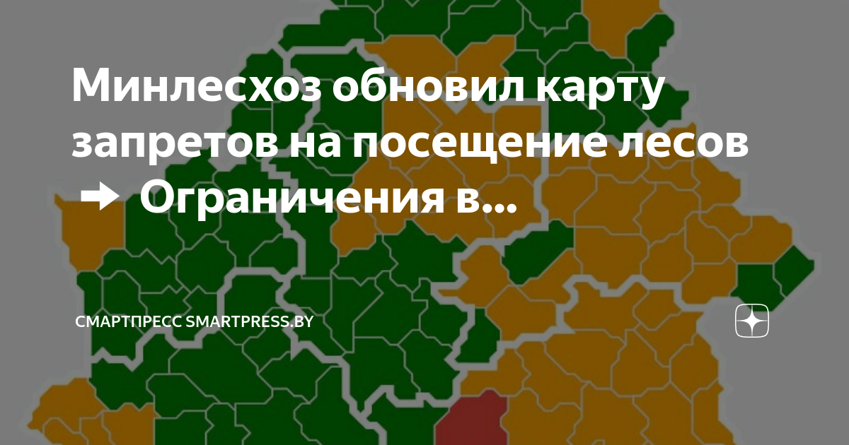 Карта запретов на посещение лесов в беларуси на сегодня