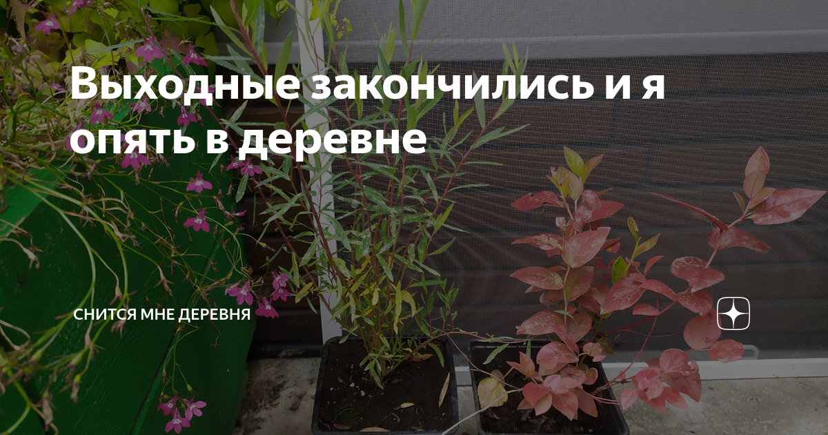 снится дом в деревне