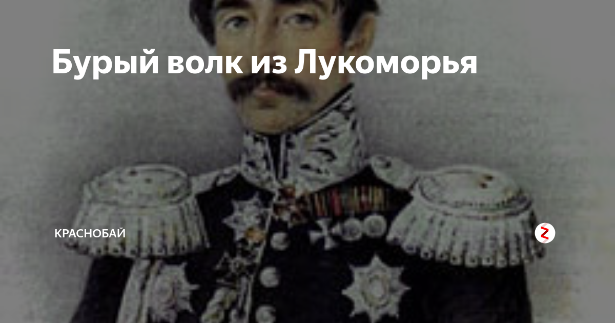 Бурый волк из Лукоморья | Краснобай | Дзен