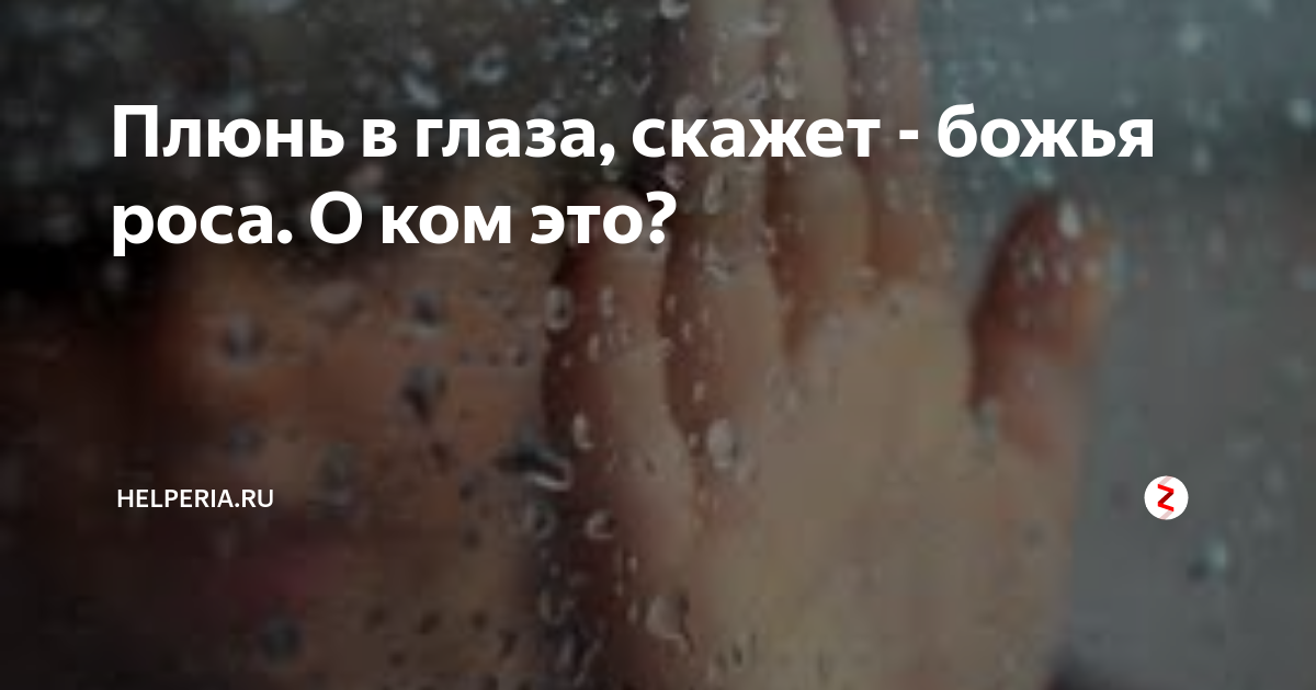 Плюнь в глаза Божья роса. Плевок в глаза Божья роса. В глаза Божья роса поговорка. Поговорка хоть ссы в глаза Божья роса.