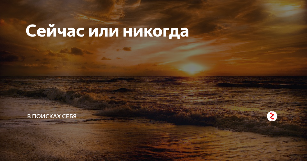 Сейчас или никогда. Сейчас или никогда картинки. Сейчас или никогда цитата. Обои сейчас или никогда.