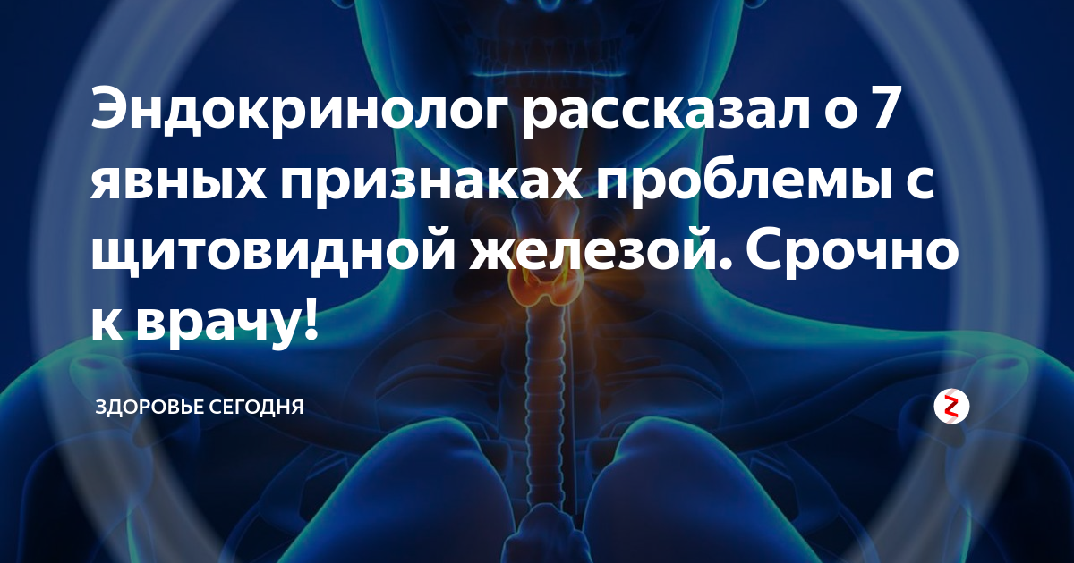 Эндокринолог щитовидная железа. Эндокринолог при щитовидке. Эндокринолог щитовидка у женщин. Эндокринолог что лечит.