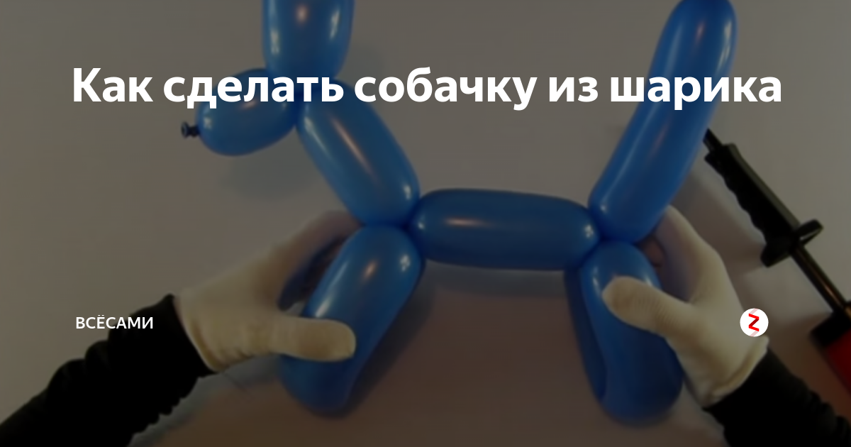 Пудель из шарика колбаски схема