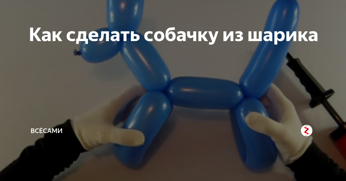 Собака из шарика колбаски схема для начинающих пошагово