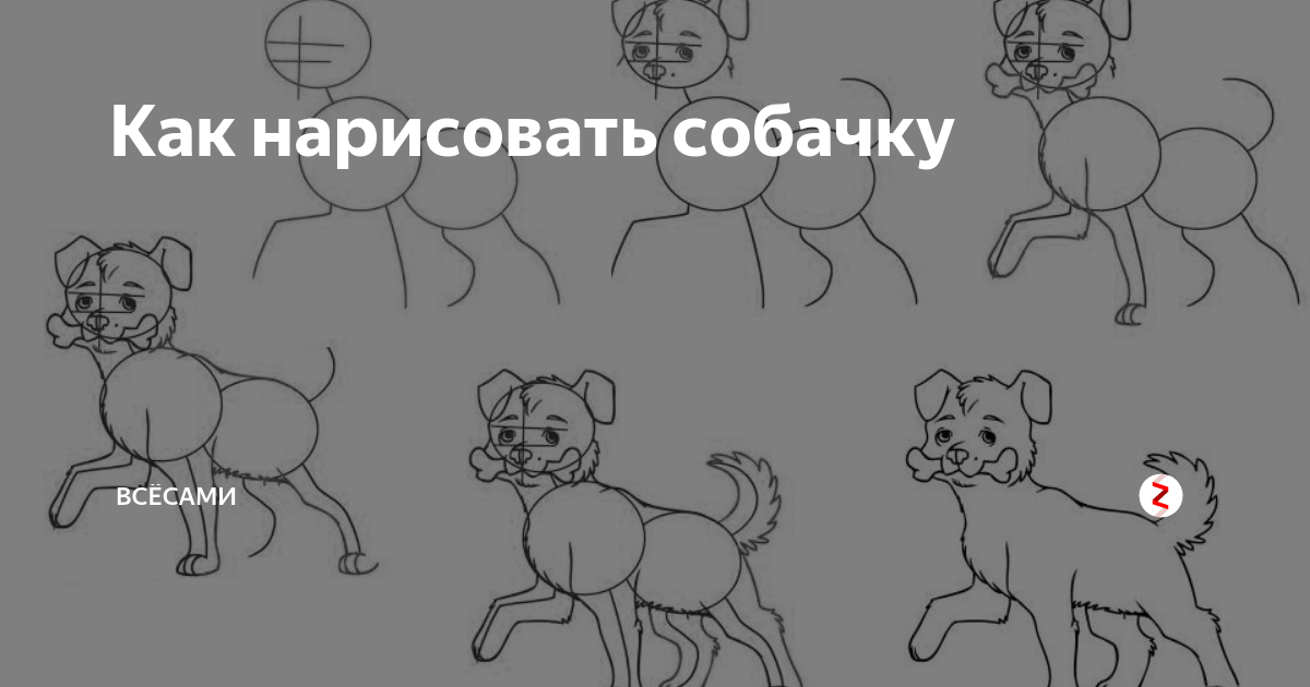 Лайфхак как нарисовать собаку