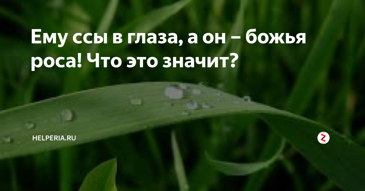 Ему ссы в глаза, а он – божья роса! Что это значит? | Helperia.ru | Дзен