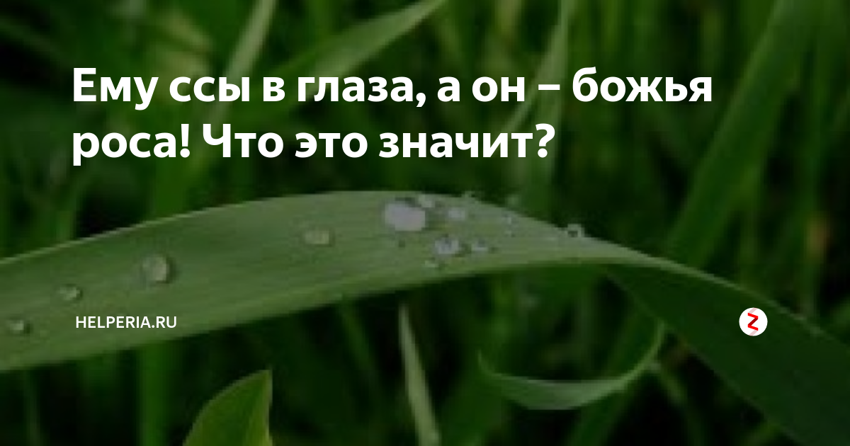 Значение слова роса. Пословица хоть ссы в глаза. Божья роса поговорка. Поговорка хоть ссы в глаза Божья роса. Ему ссы в глаза, а он – Божья роса!.