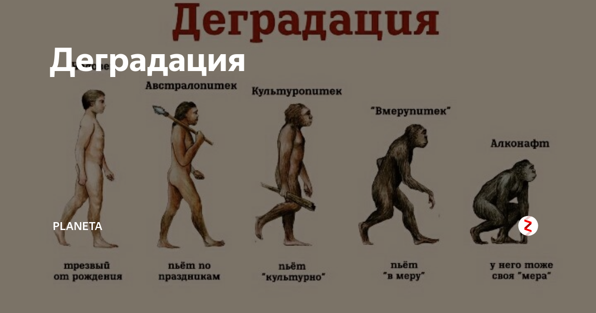 Что означает слово деградация. Деградация человечества. Степени деградации человека. Деградация картинки. Всеобщая деградация.