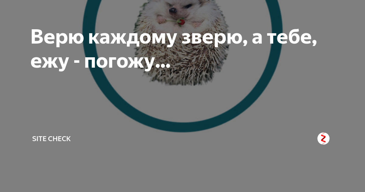 Каждая верит. Верю всякому зверю а тебе ежу погожу. Верю каждому зверю. Верю верю каждому зверю а тебе. Верю каждому зверю а тебе ежу погожу смысл поговорки