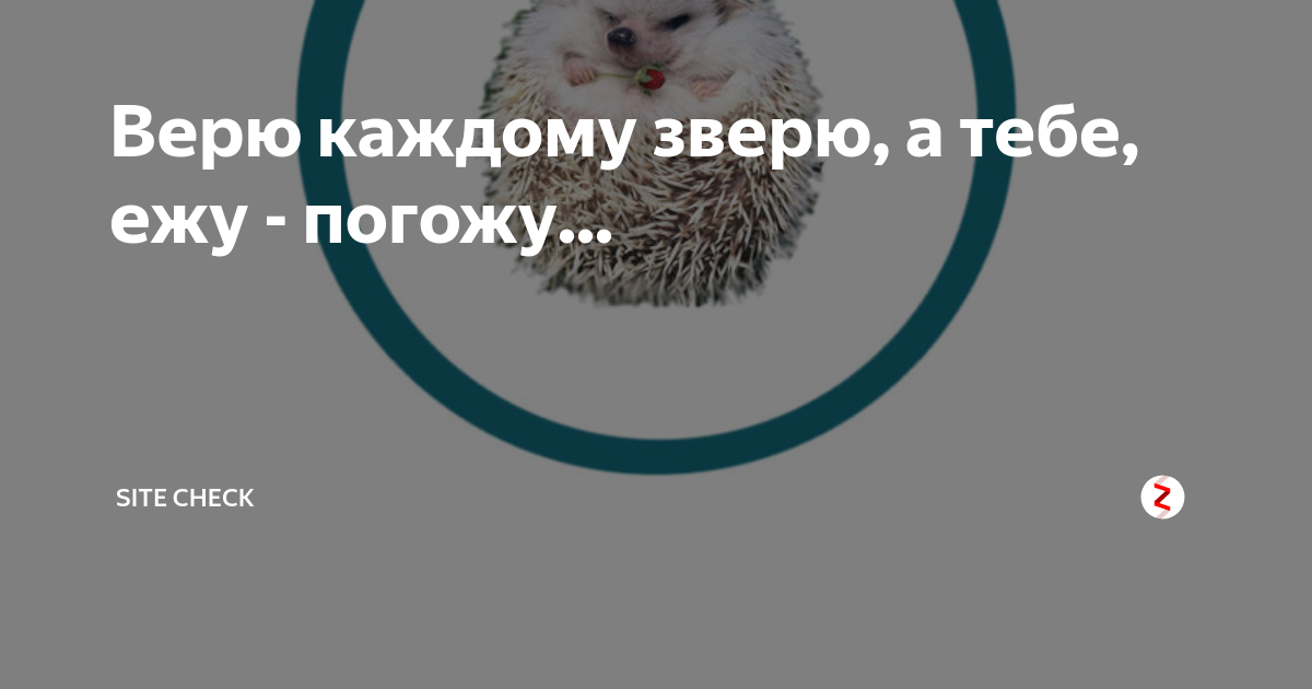 Верь зверь. Верю всякому зверю а тебе ежу погожу. Верю каждому зверю. Верю верю каждому зверю а тебе. Верю каждому зверю а тебе ежу погожу смысл поговорки.