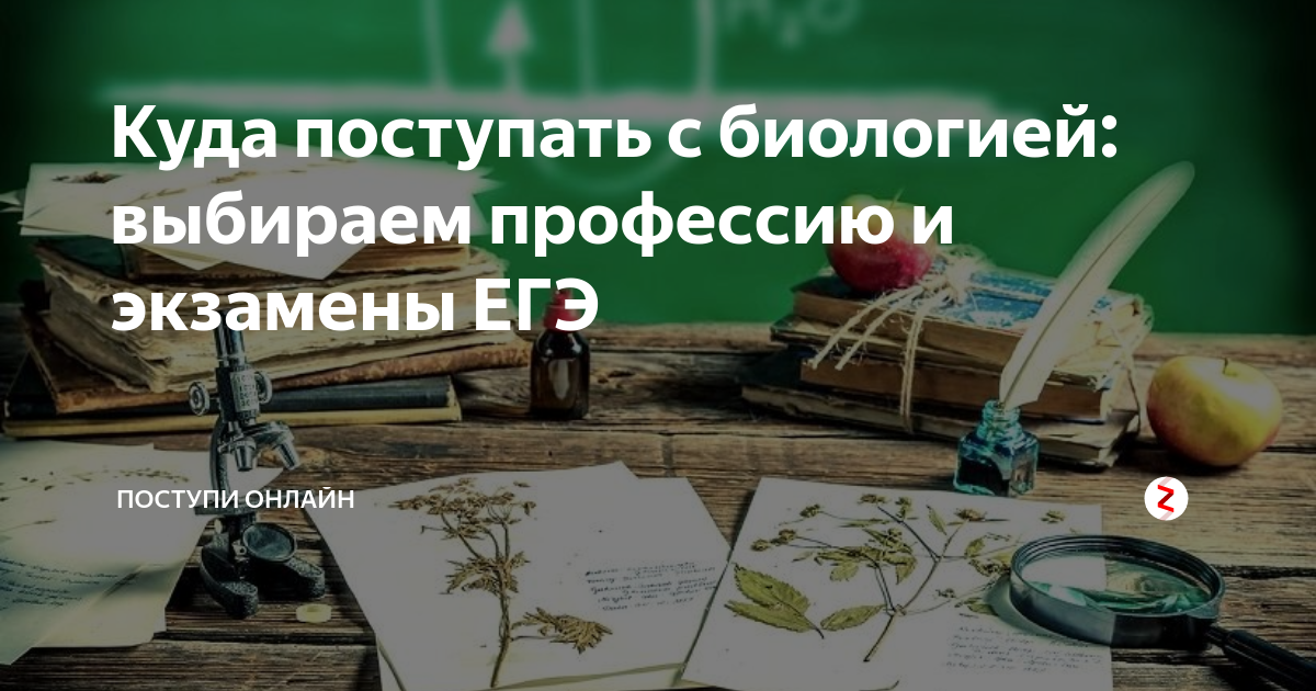 Обществознание и литература куда поступать после 11. Куда поступать с биологией. Куда можно поступить с биологией. Куда поступить с русским и биологией. Куда поступать.