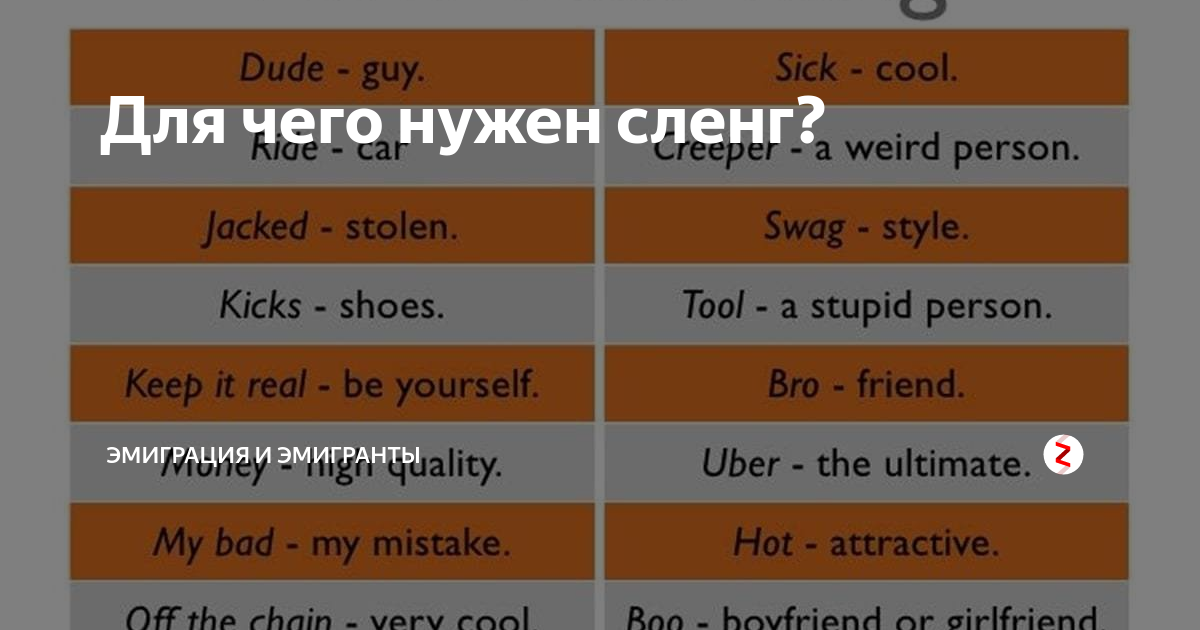 Новохудоносок: значение термина в жаргоне