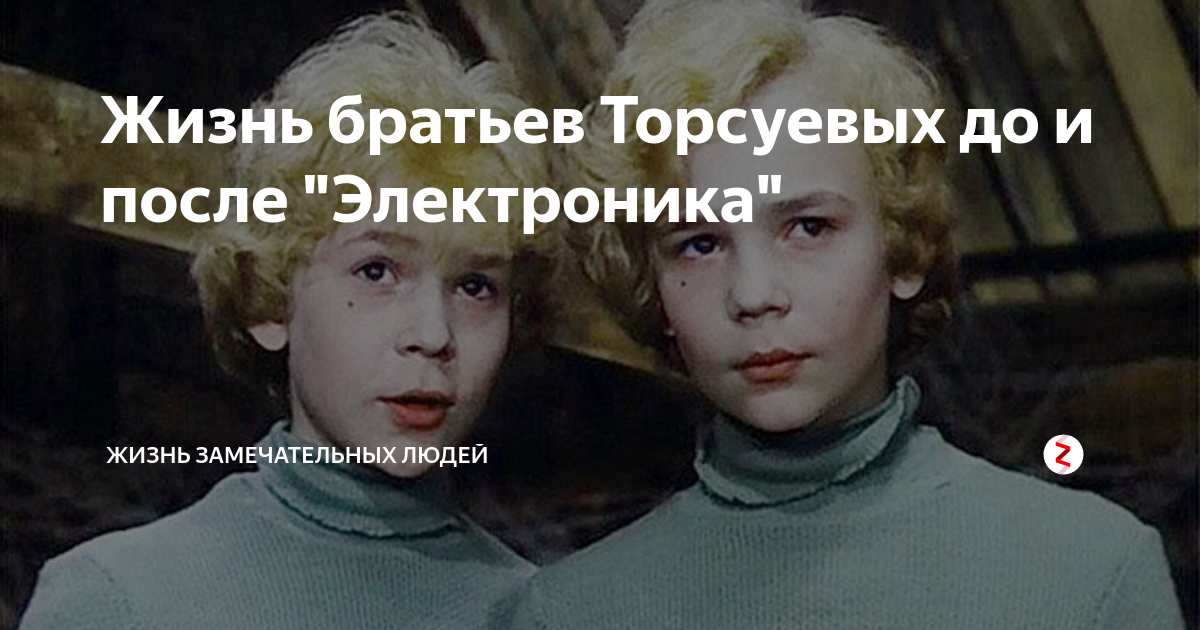 Электроник человек. Приключения электроника графические портреты Торсуевых.