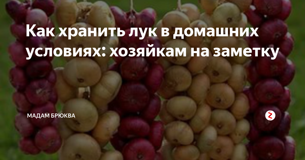 3 способа, как плести лук в косы для зимнего хранения: хозяйкам на заметку