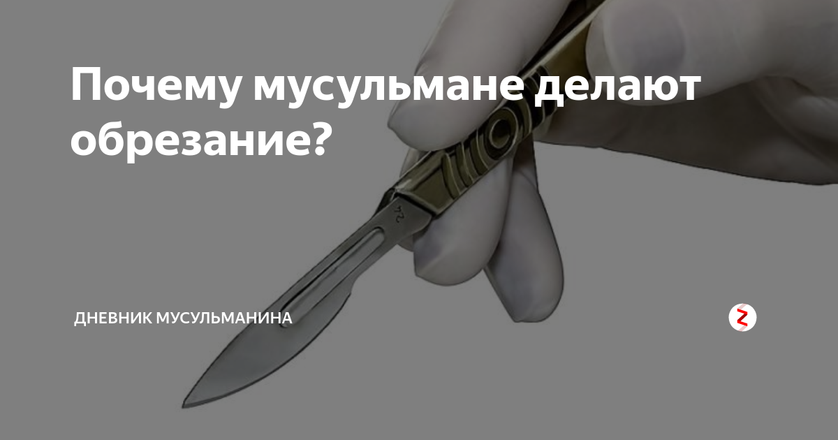 Обрезание у женщин схема в картинках