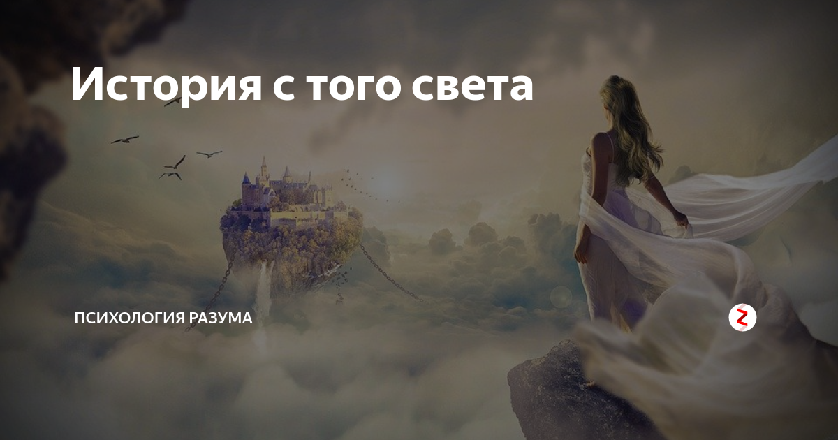 Будда монах. История люди дзен. Монахи тхеравада. Дзен буддист монах. Тхеравада-хинаяна.