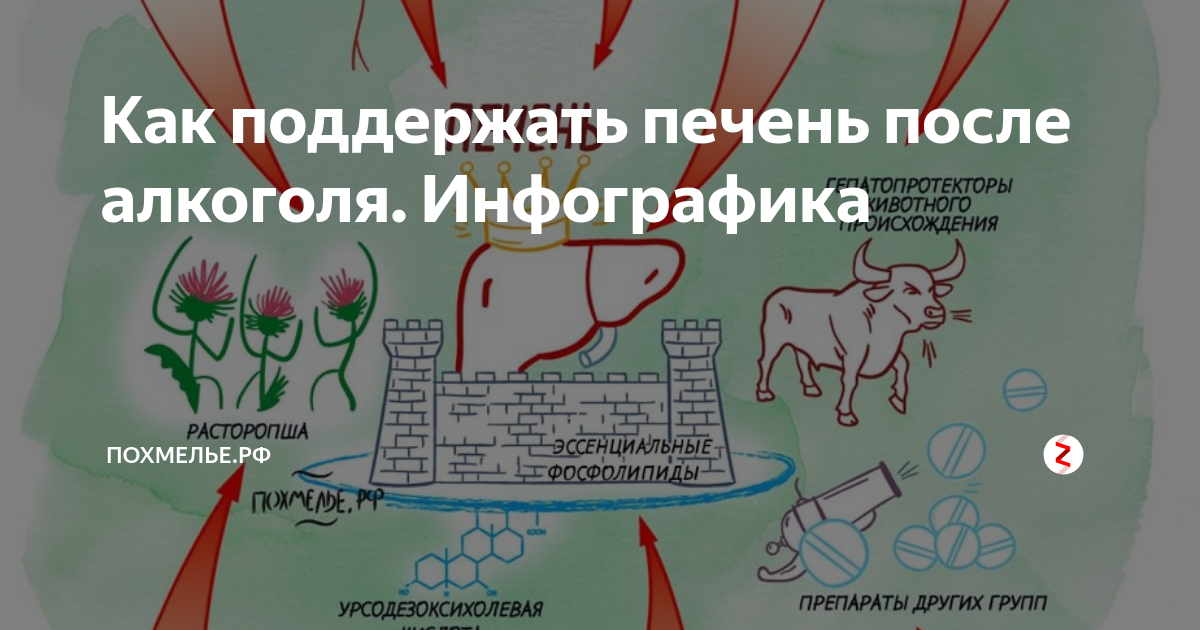Гепатрин капс. Как поддержать печень. Поддержать печень. Как поддержать печень. Как поддержать печень.