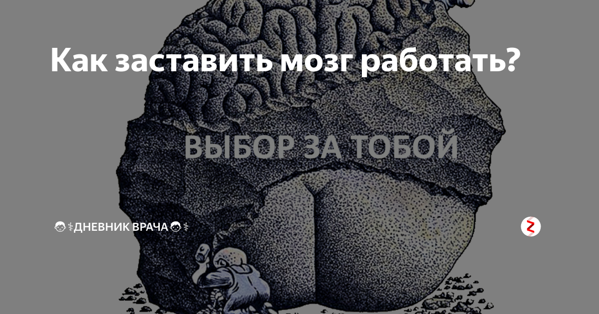 Как заставить мозг быстро запоминать информацию. Как заставить мозг работать. Заставить мозг работать. Взбодрить свой мозг. Как заставить работать мозг в любом.