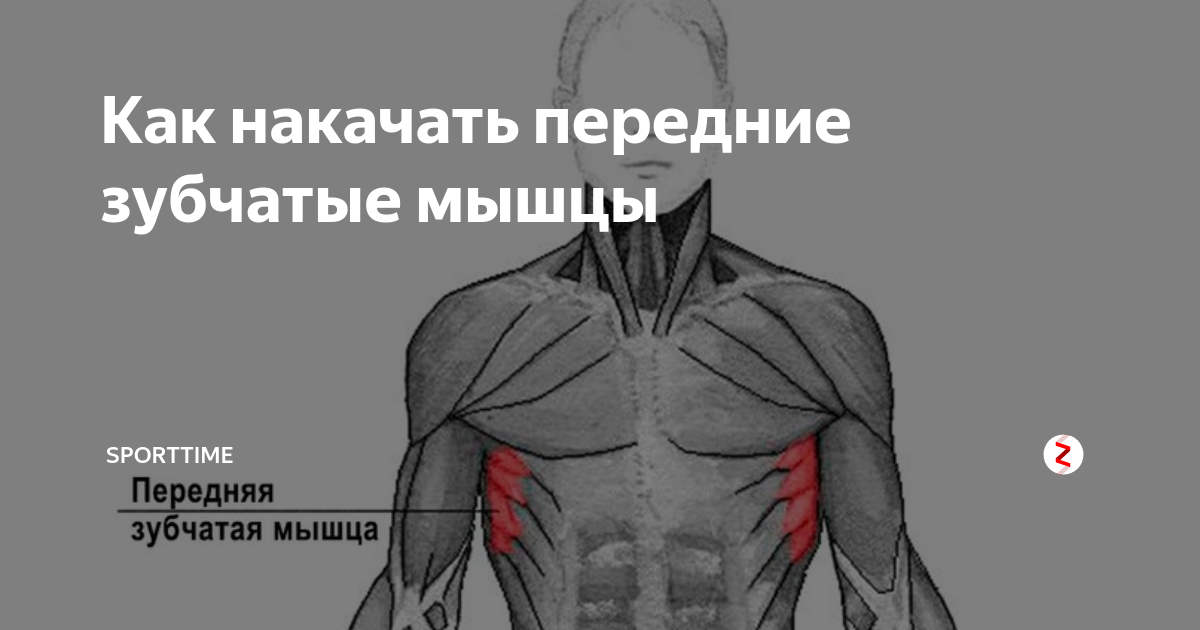 ������� ������ �������: ����.