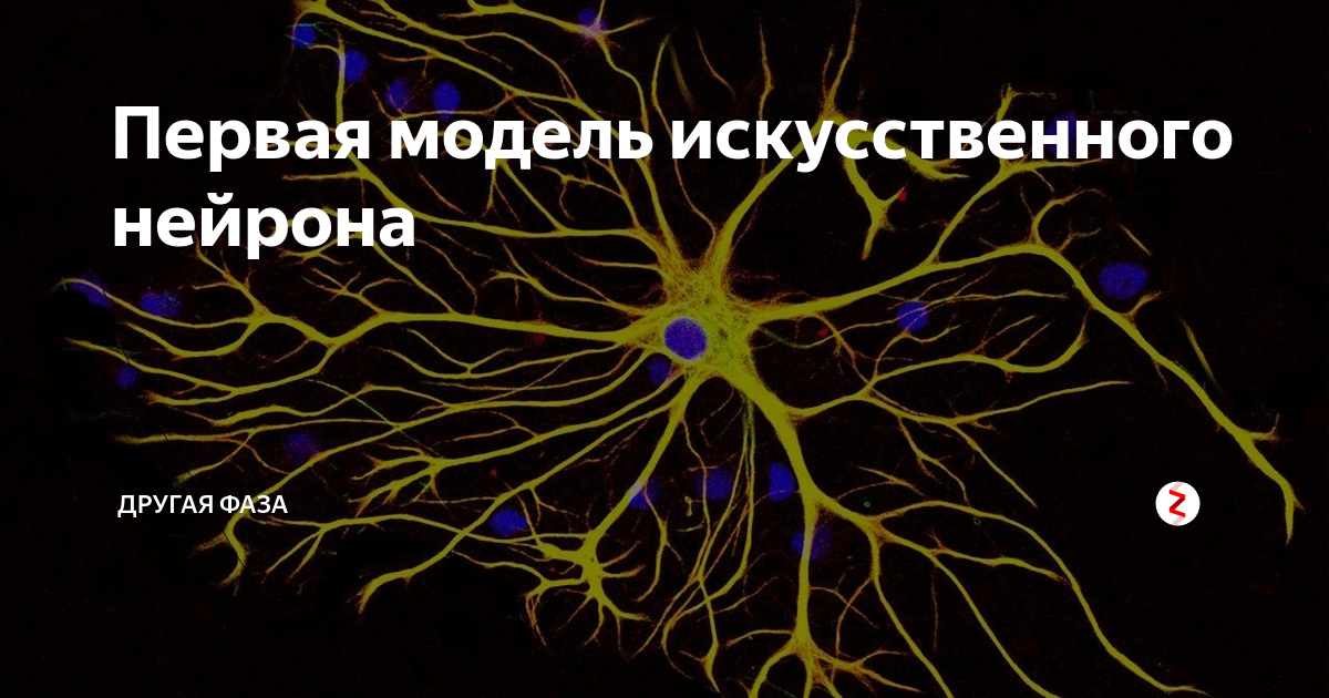 Впервые нервные клетки. Искусственная нервная клетка. Модель искусственного нейрона. Строение искусственного нейрона. Биологическая модель нейрона.