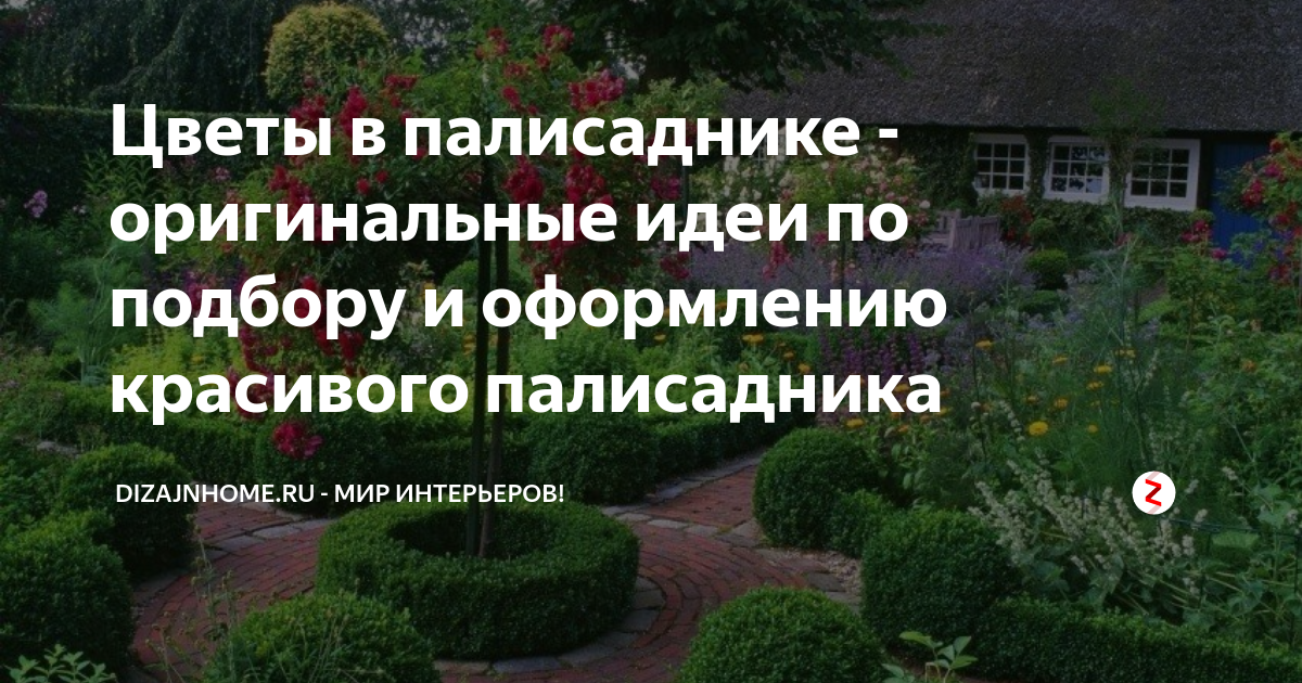 Цветы в палисаднике - оригинальные идеи по подбору и оформлению ...