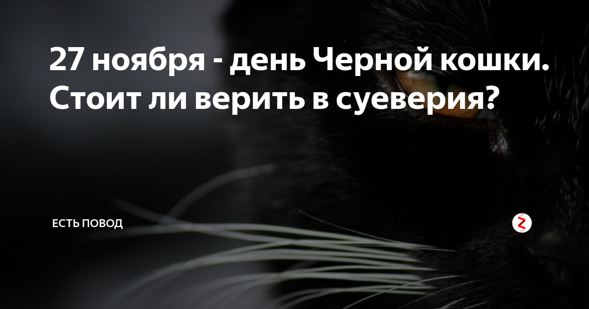 Кого называют темнейшим. День черного кота. 27 Ноября день черной кошки. День защиты чёрных котов и кошек. Международный день защиты черных котов