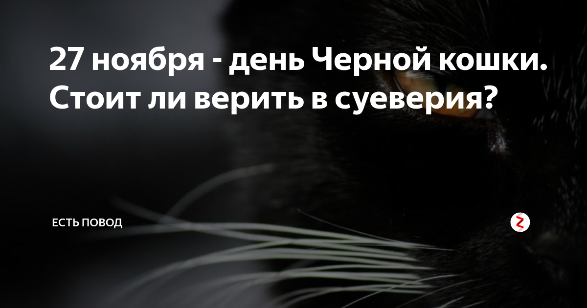 Черный ноябрь 2023. День черного кота. 27 Ноября день черной кошки. День защиты чёрных котов и кошек. Международный день защиты черных котов.