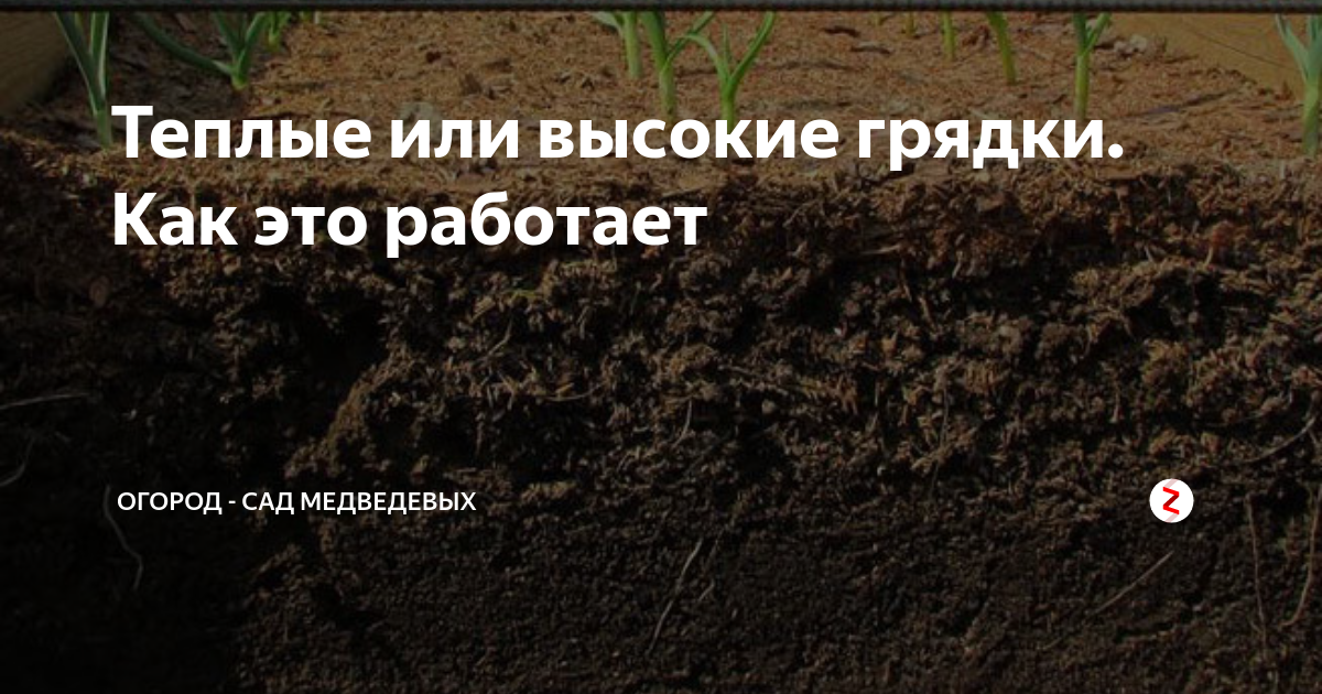 Почему нужно срочно перекопать компост: сделайте это перед отъездом в город