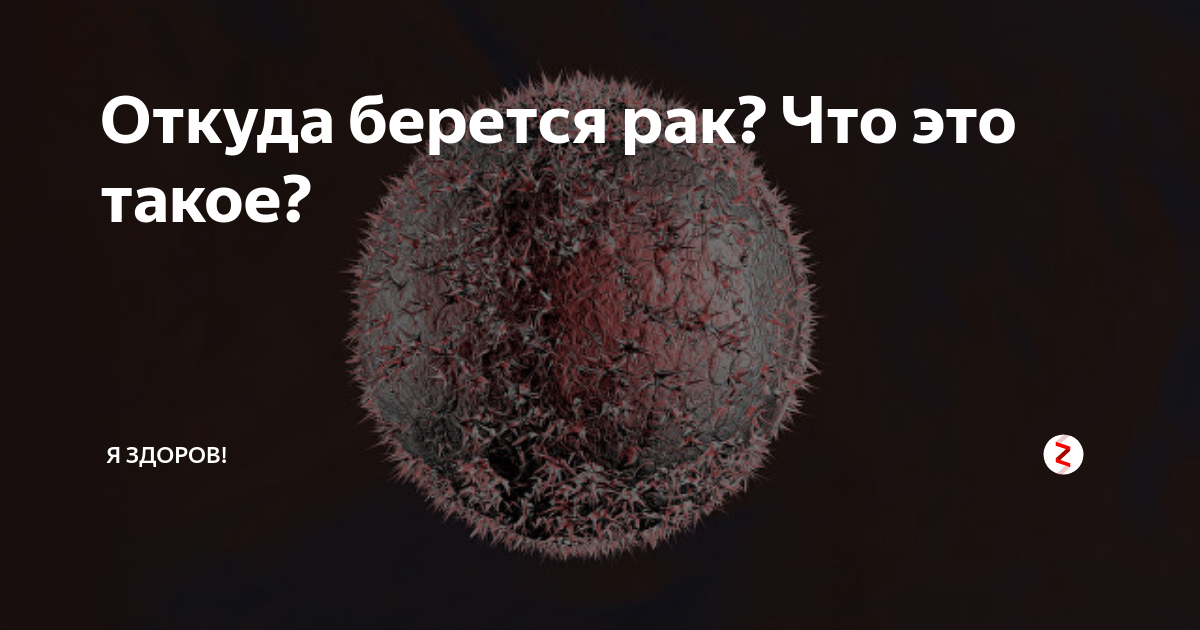 откуда берется рак крови у детей