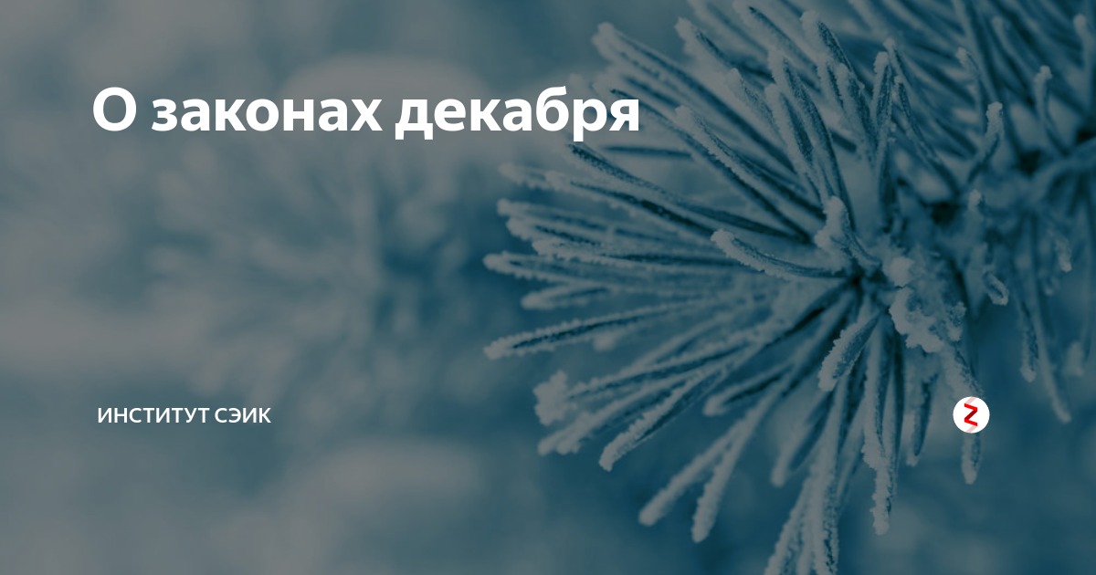 Изменение в законе в декабре. Законы декабря картинки. Новые законы декабря. Законы декабря 2021. Нововведения декабря законы.