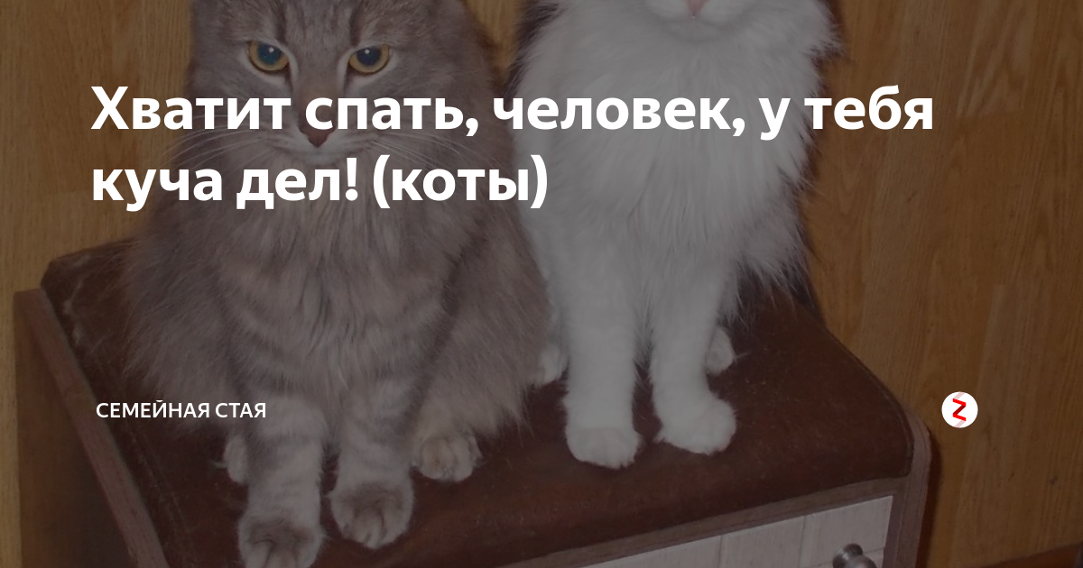 Картинка с надписью хватит спать