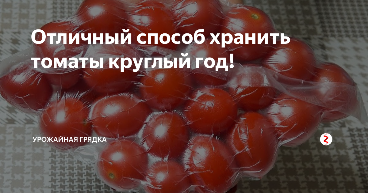 Хранение помидоров в домашних условиях. Хранение томатов на улице. Термометр на производстве хранения помидоров. Книга томаты круглый год Власов.