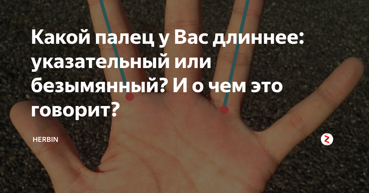 Безымянный палец на руке. Безымянный палец длиннее указательного у женщин. Безымянный палец левой руки. На левой руке безымянный палец длиннее указательного.