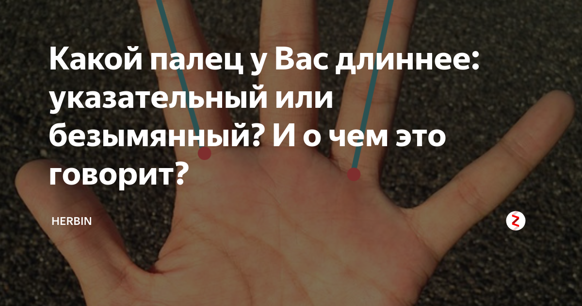 Примета безымянный палец левой руки. Безымянный палец на руке. Безымянный палец длиннее указательного у женщин. Безымянный палец левой руки. На левой руке безымянный палец длиннее указательного.