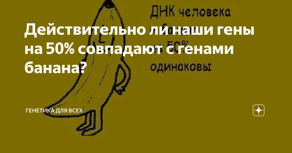 На сколько совпадает днк человека и банана. Гены человека и банана. Банан и человек сходство ДНК. ДНК банана и человека совпадают на 50. Человек и банан совпадение генов.