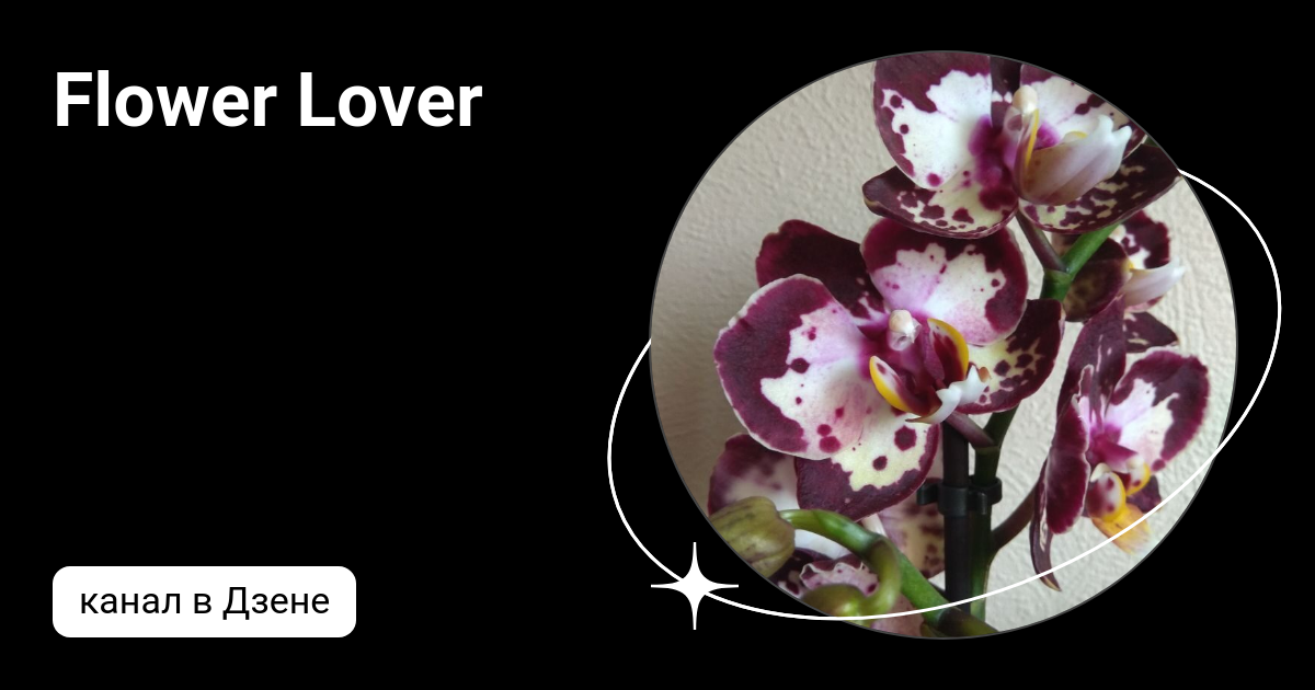 Flower Lover