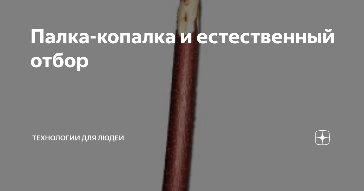 Первая палка копалка